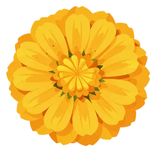 A bright golden marigold flower illustration.