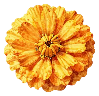 A watercolor painting of a marigold flower with speckled petals.