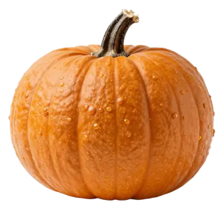 An orange pumpkin with water droplets on its surface.